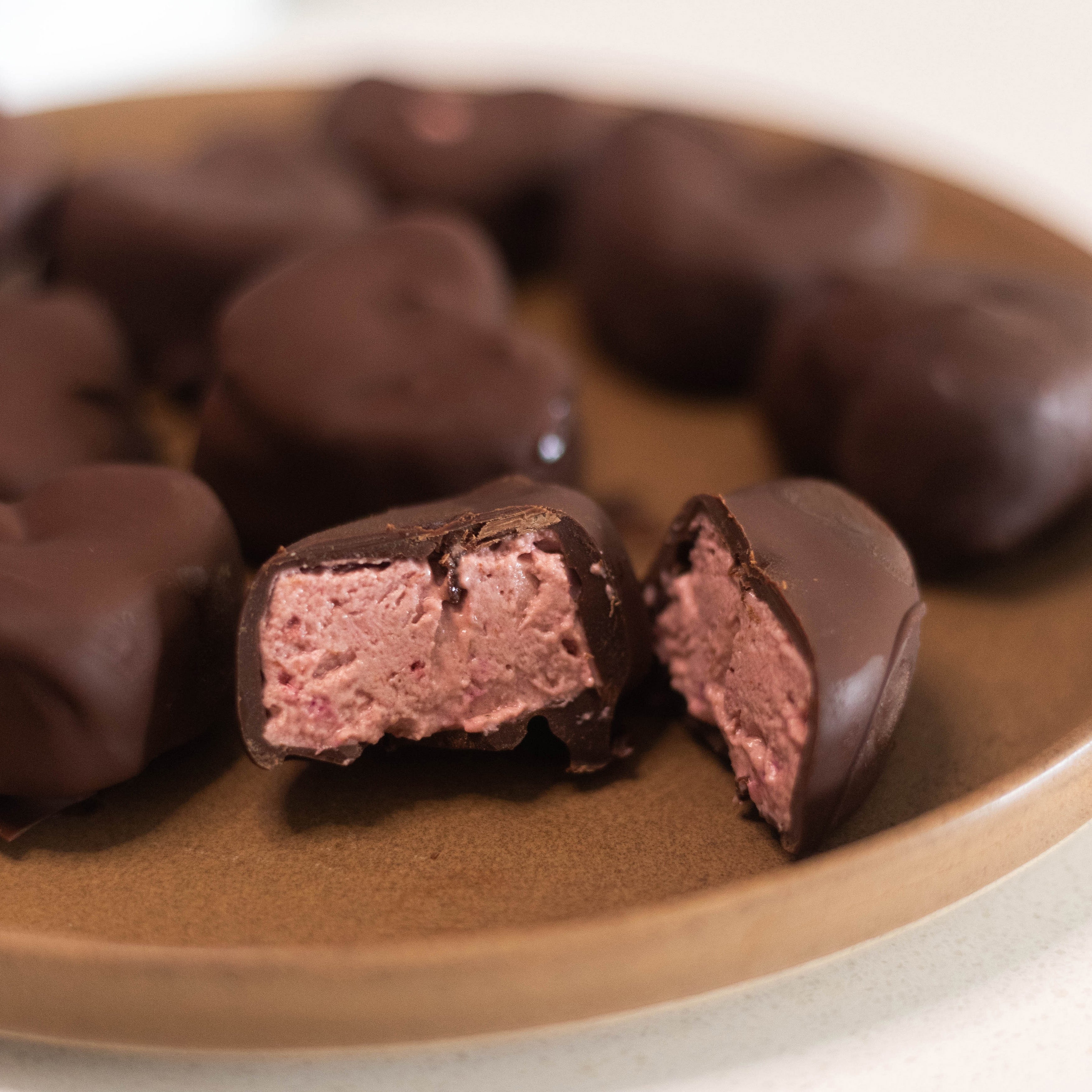 Chocolate Strawberry Yogurt Bites