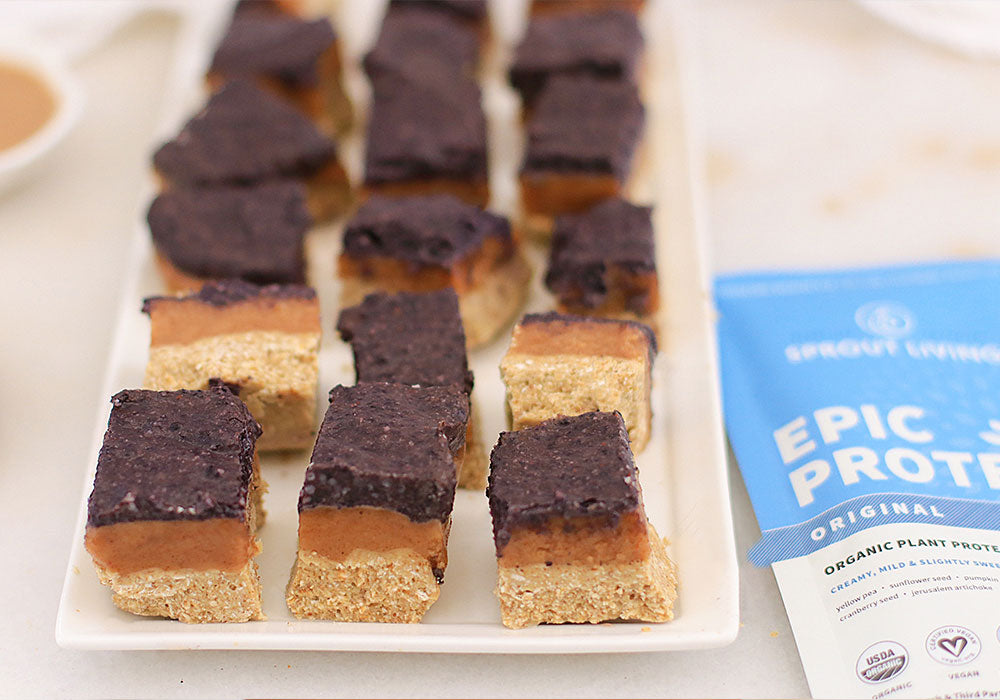 Almond Butter and Blueberry Jam Protein Bars