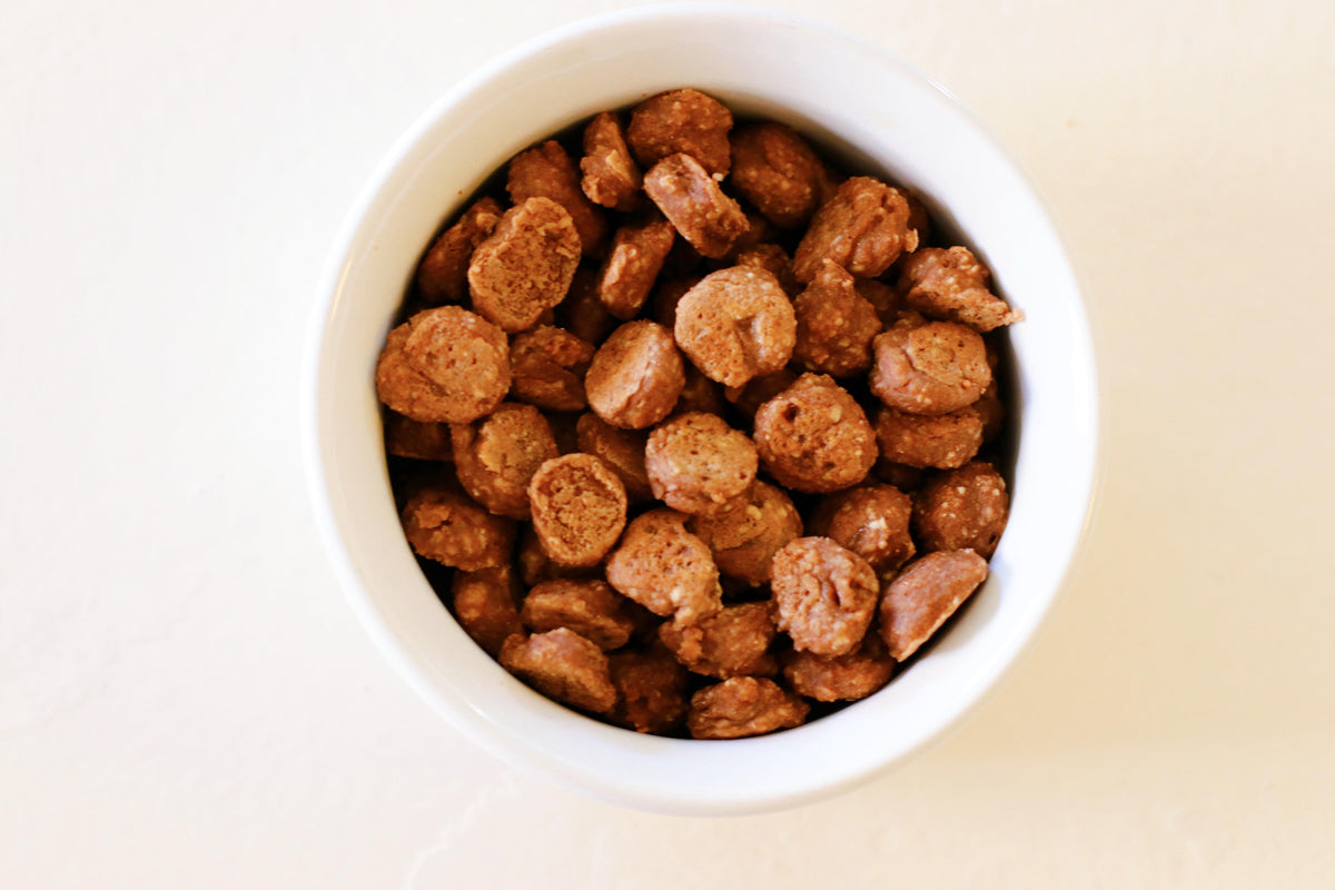 Mini Chocolate Protein Pancake Cereal