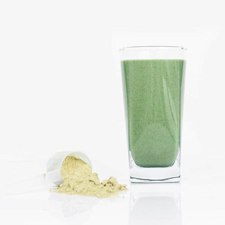 Epic Protein Green Kingdom, glass and scoop