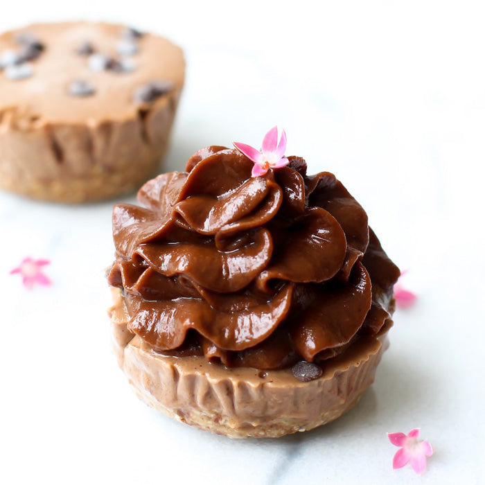 Double Chocolate Ice Cream Cupcakes