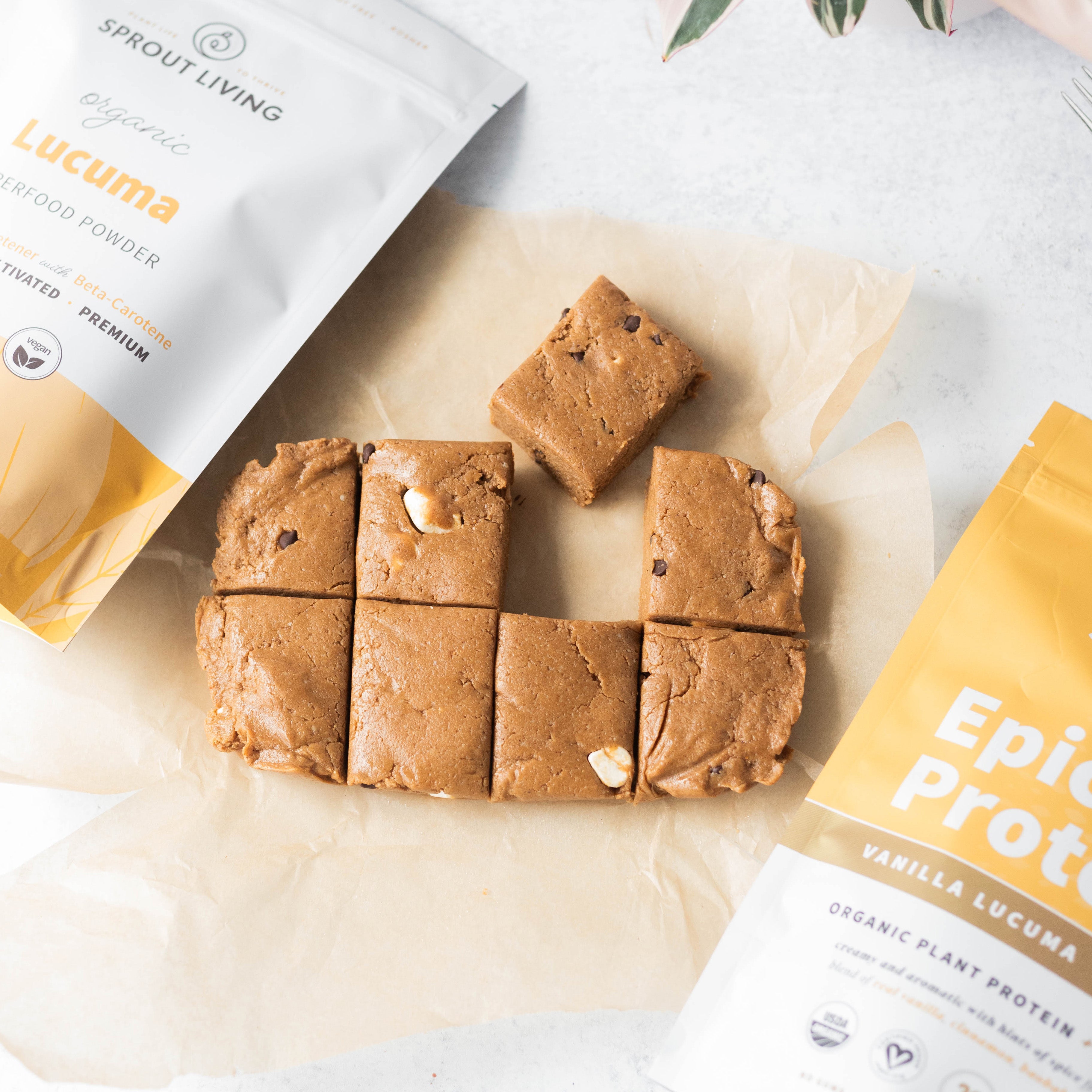 Epic Protein Vanilla Lucuma Protein Bars