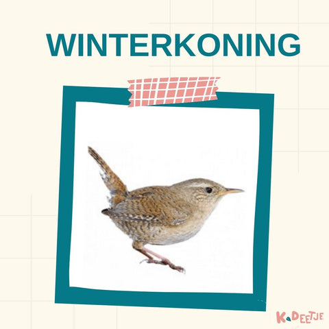 Vogeltelweekend vogelkaarten gratis download K-Deetje Natuurpunt