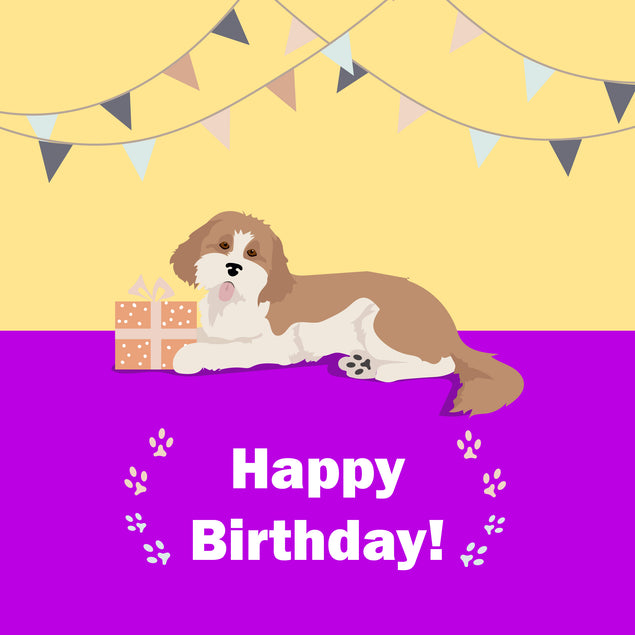 Cute Cavapoo With Gift Happy Birthday Card | Boomf