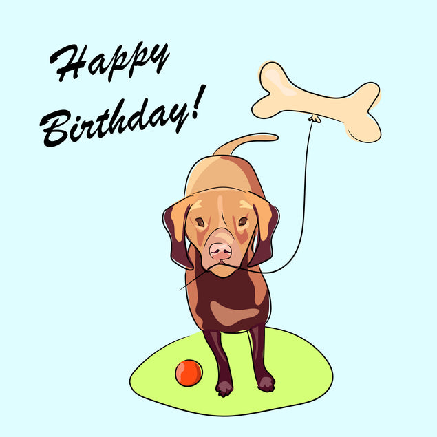 Cute Vizsla Dog With Balloon Happy Birthday Card | Boomf