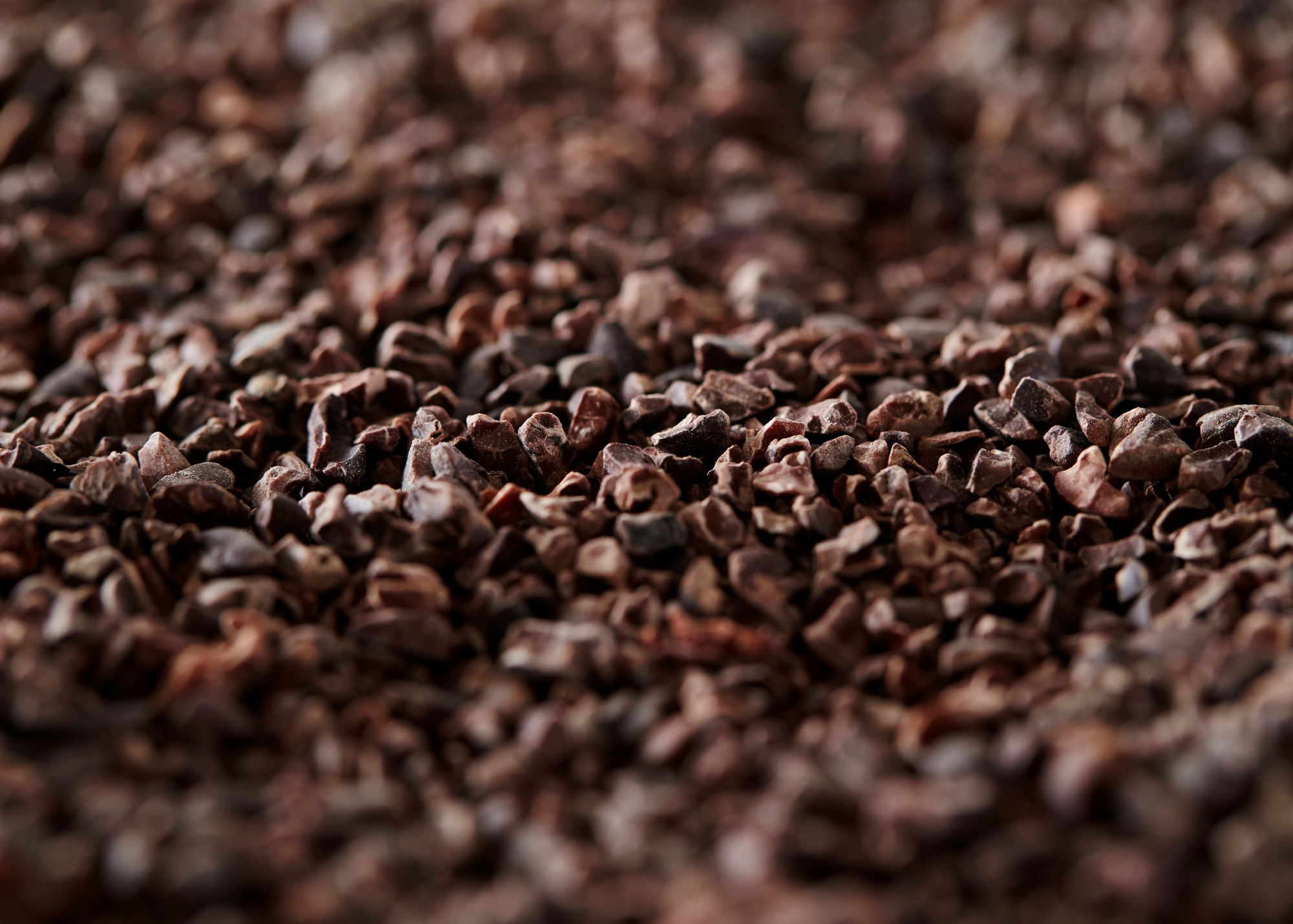 cacao nibs