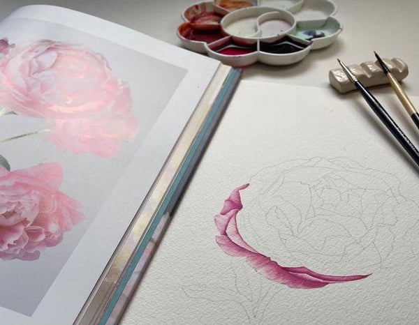 Image of watercolor paints, an open book of peony photographs, and the start of a watercolor painting.