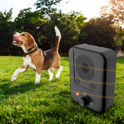 best anti barking devices uk