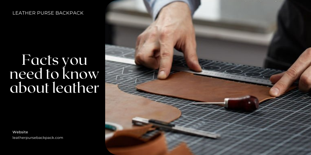 Facts you need to know about leather