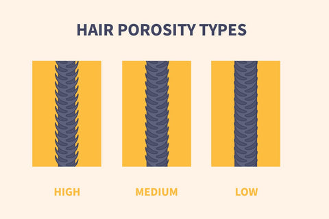 get to know your hair type