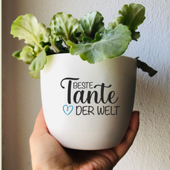 Flower pot "Best Aunt in the World" as a gift for Mother's Day or birthday