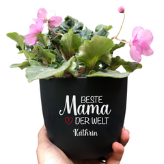 Flower pot "Best Mom in the World" as a gift for Mother's Day or birthday