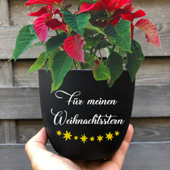 Flower pot "For my poinsettia" as a Christmas present