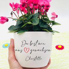 Flower pot “You have grown dear to me” as a gift