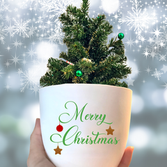Flower pot "Merry Christmas" as a Christmas present