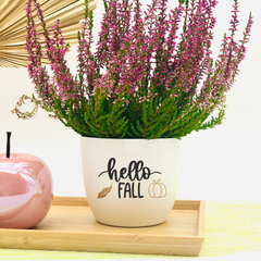“Hello Fall” flower pot as an autumn decoration and gift