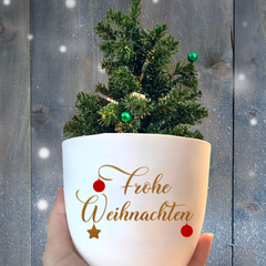 Flower pot "Merry Christmas" as a Christmas present