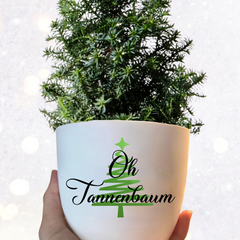 Flower pot “Oh Christmas tree” as a Christmas present