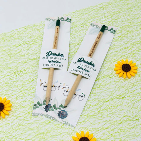 Pencil sprout with flower seeds as a farewell gift for teachers, educators, childminders
