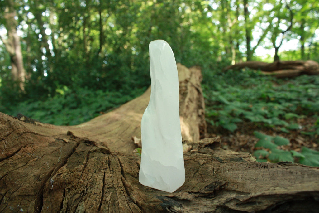 Der Heilstein aus Manganocalcit auf einem Baumstamm im Wald - Naturbild.