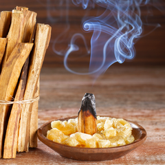 bâtons d'encens palo santo brûlant | Chloé et couronne