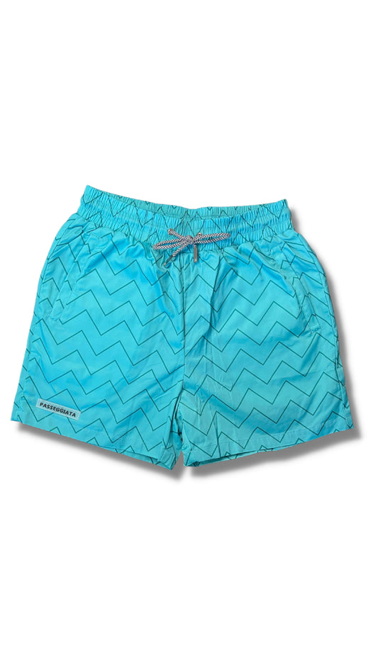 Zig Zag Premium Swim Shorts (Black/Grey) – passeggiata