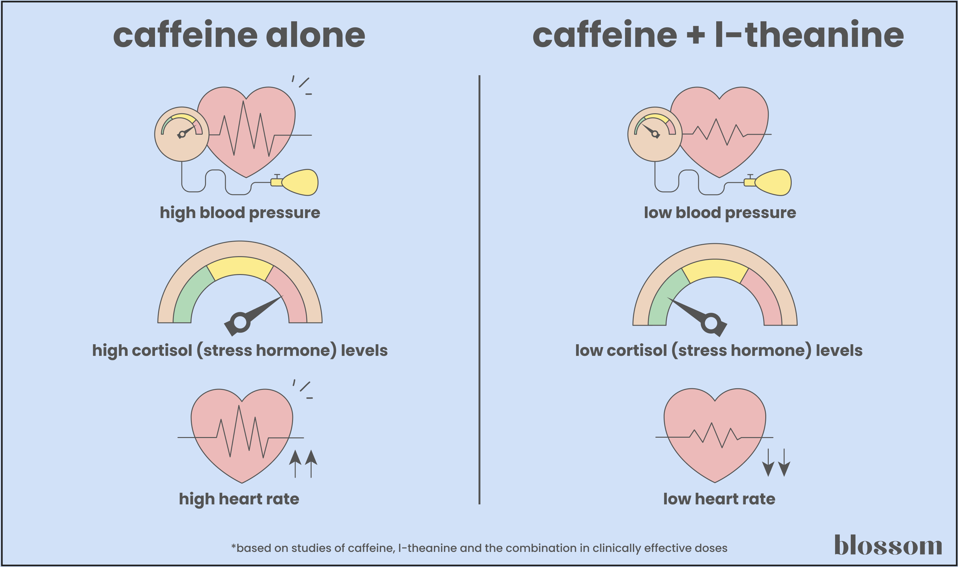 l-theanine's impact on caffeine