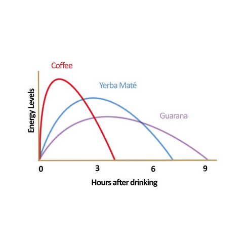 guarana long lasting effects