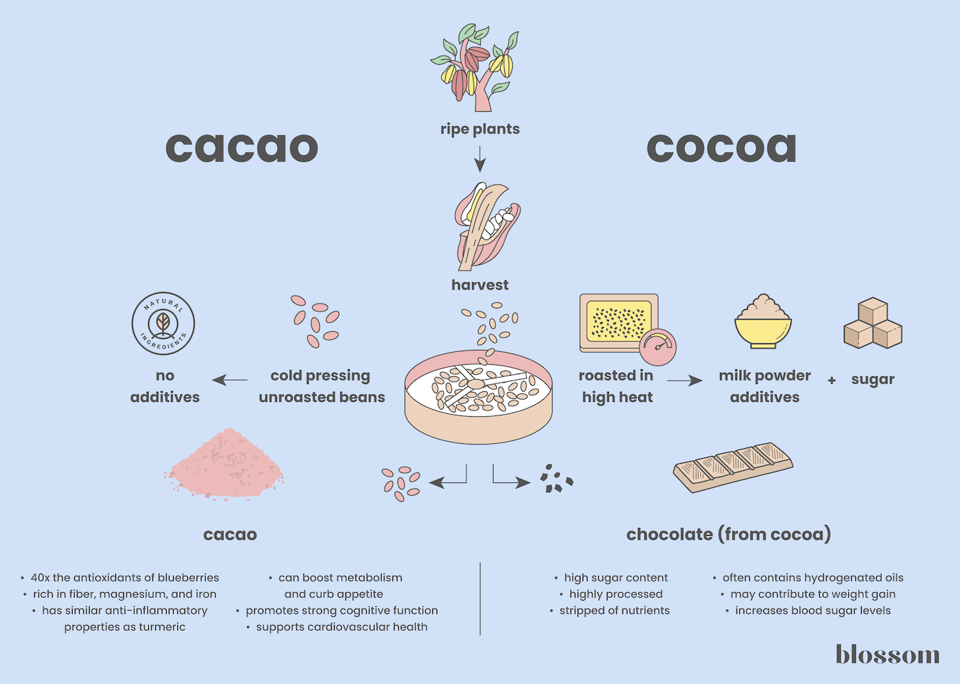 raw cacao vs cocoa powder