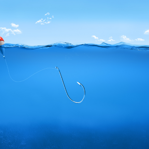 Hook in ocean