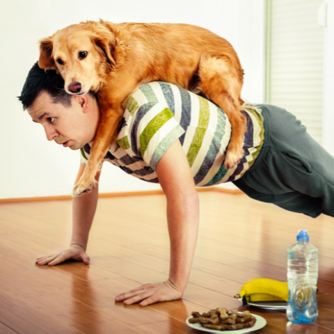 Man doing pushup with dog on his back