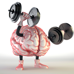 Brain lifting weights