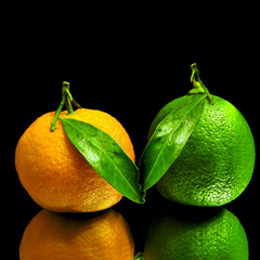 organge and lime