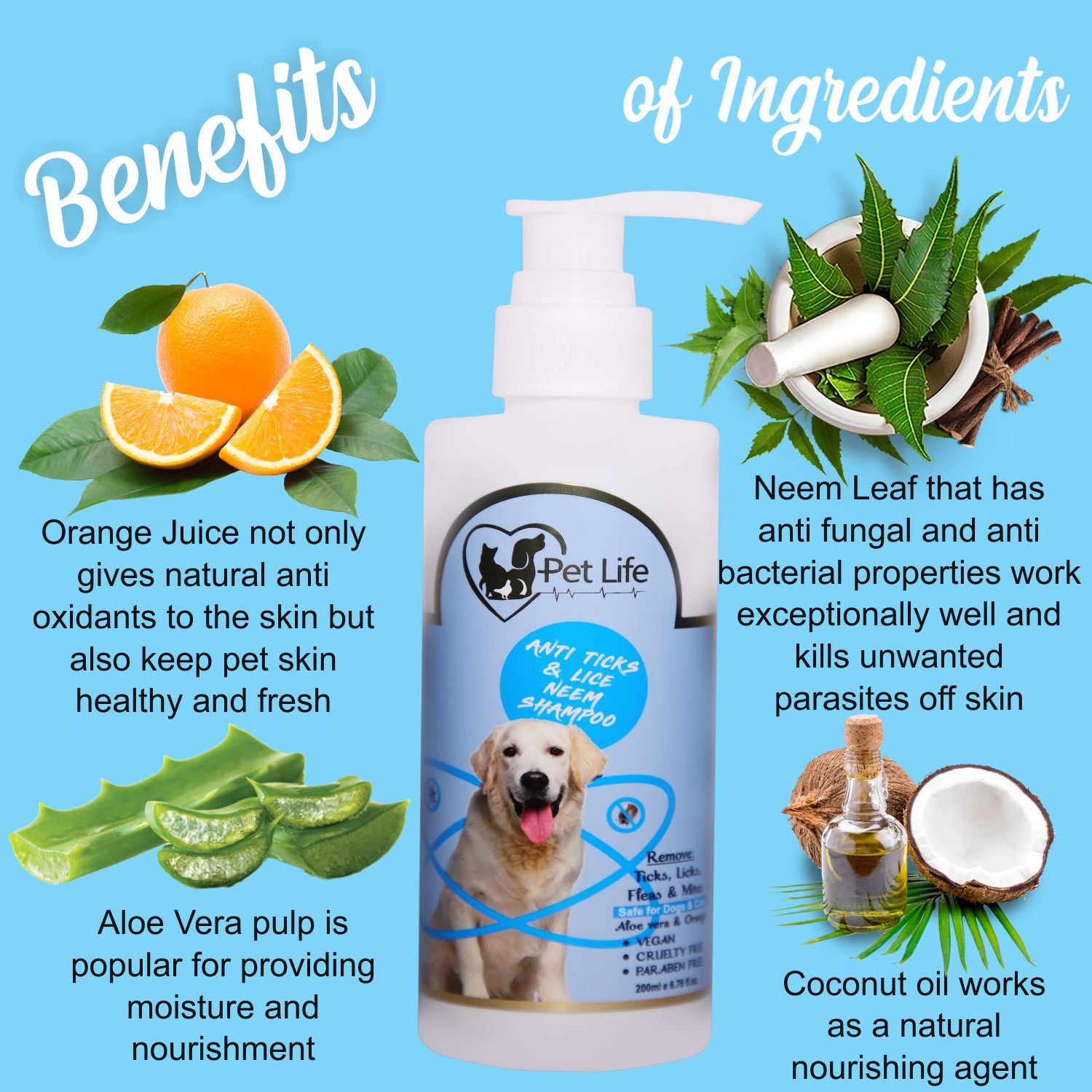 will lice shampoo kill mites on dogs