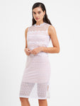 Above the Knee Fitted Mesh Dress