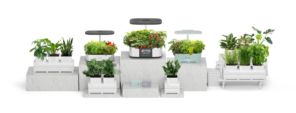 LetPot hydroponics growing systems