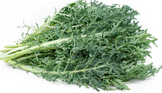 Siberian Kale