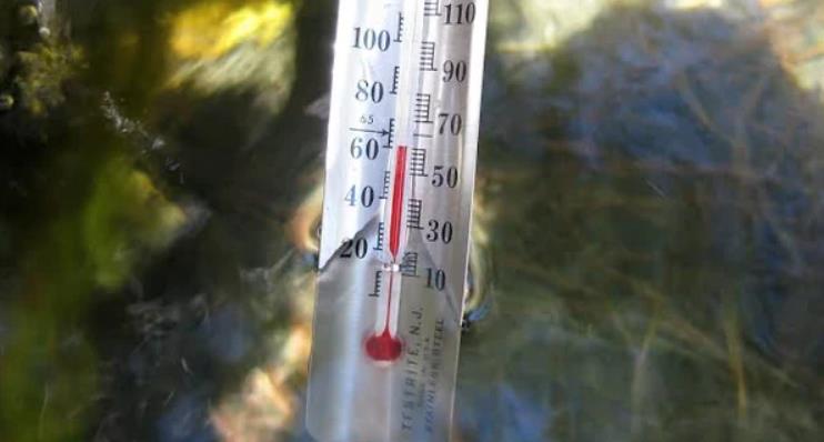 The temperature of hydroponic Cilantro
