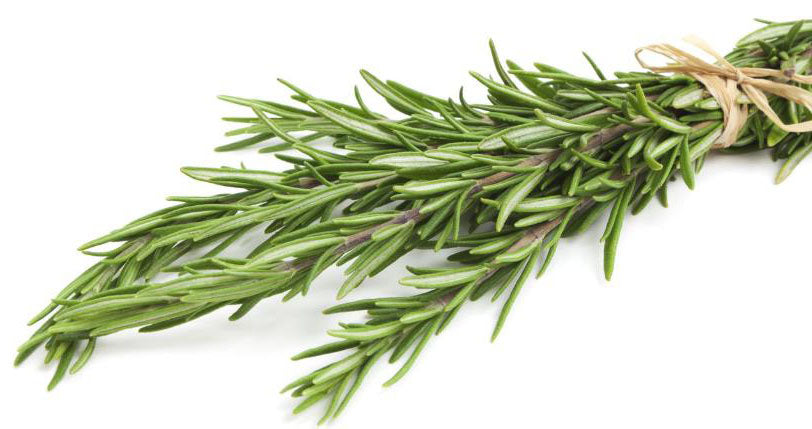 rosemary