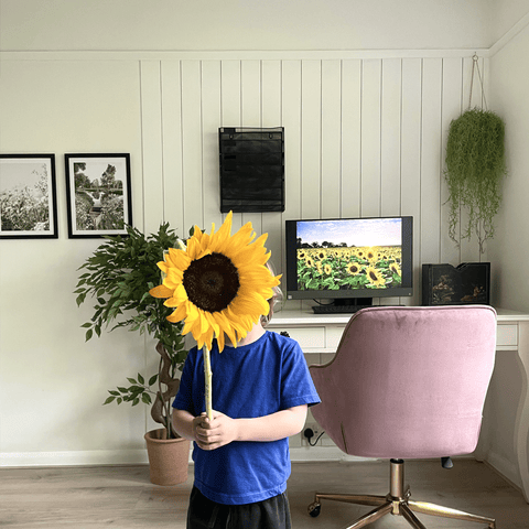 Boy with sunflower stood in front of shiplap panelled wall