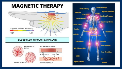 The behind magnetic therapy –