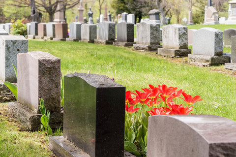 Image of Cemetery with flowers by a grave