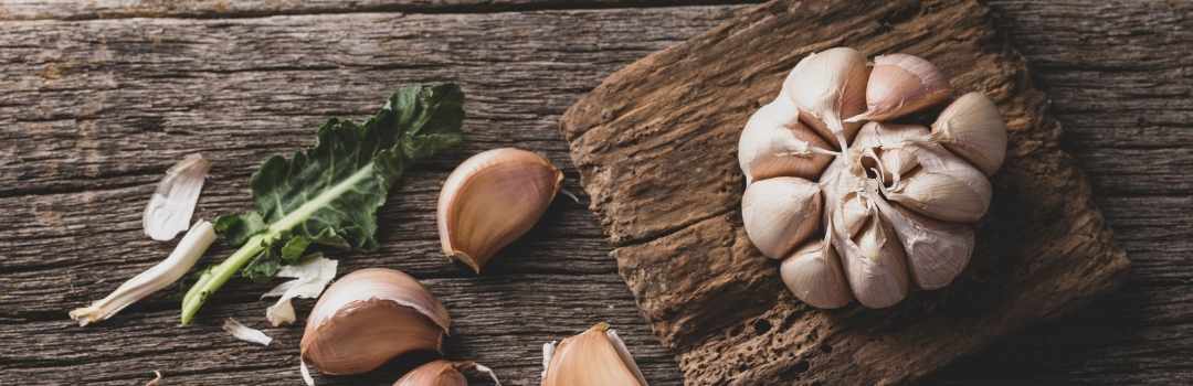 Ajo, defensa natural para tu cuerpo