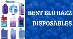 Best Blu Razz Disposables
