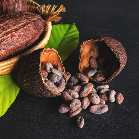 Cocoa beans