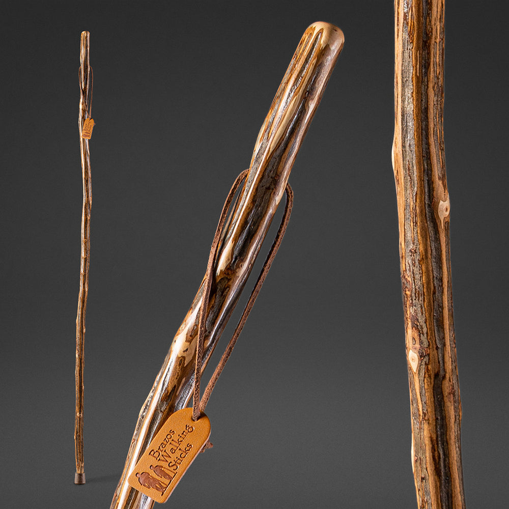 Brazos Rustic Wood Walking Cane, Hardwood, Knob Root Style Handle