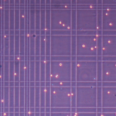 ワトソン製品_顕微鏡画像_細胞が自然に分散している