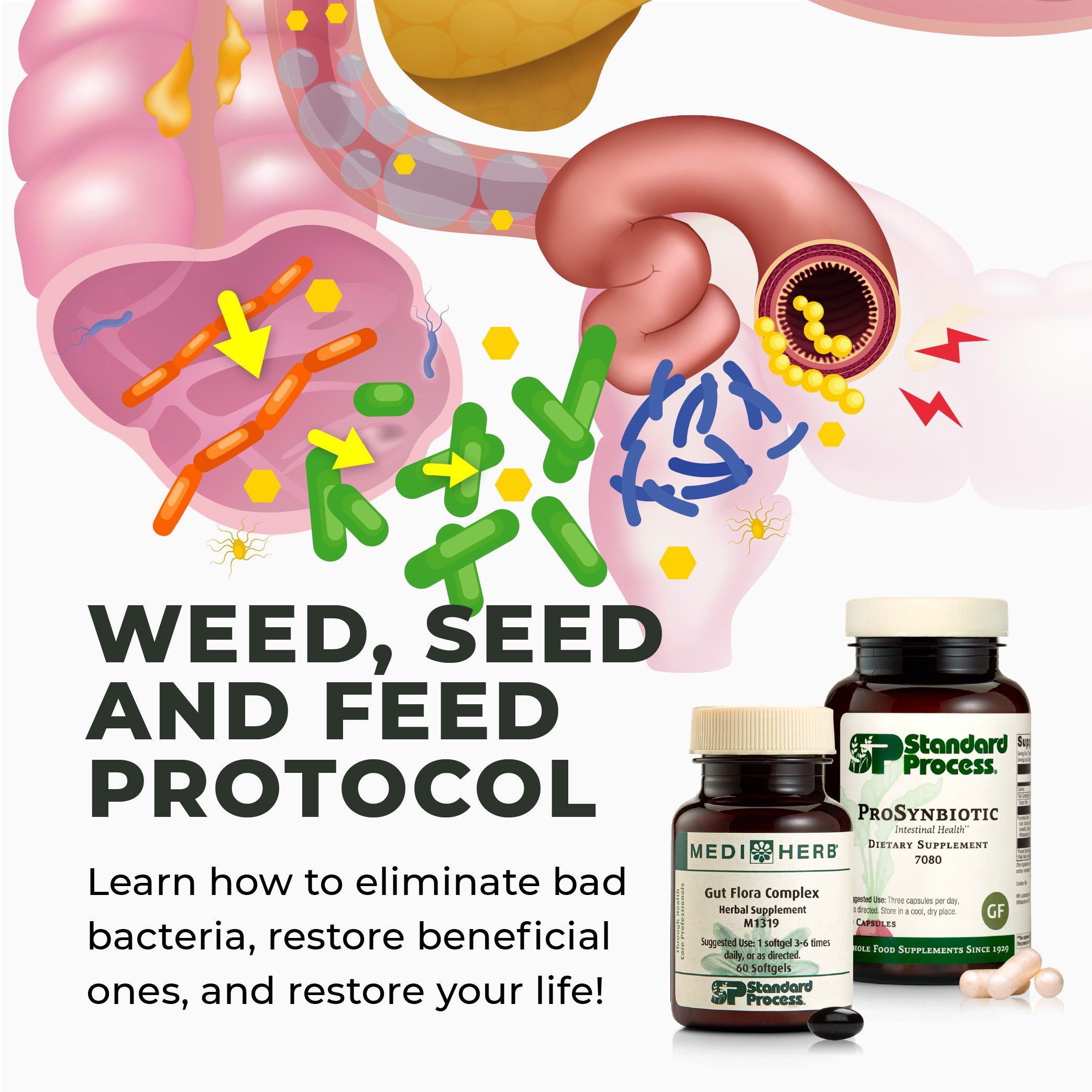 Weed, Feed and Seed Protocol