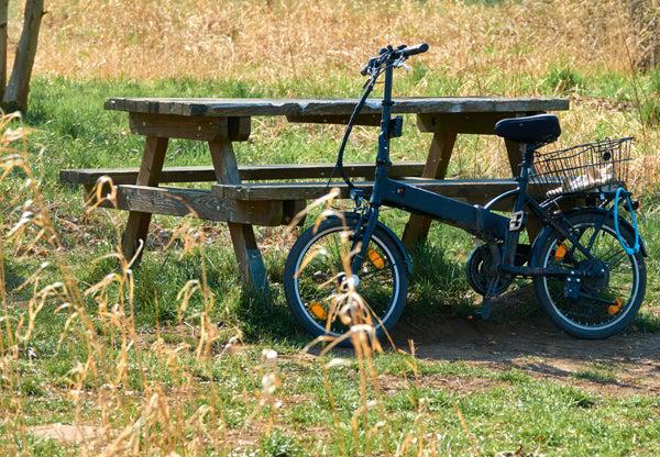 Folding Electric Bike in Park