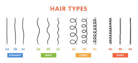 Hair type chart diagram